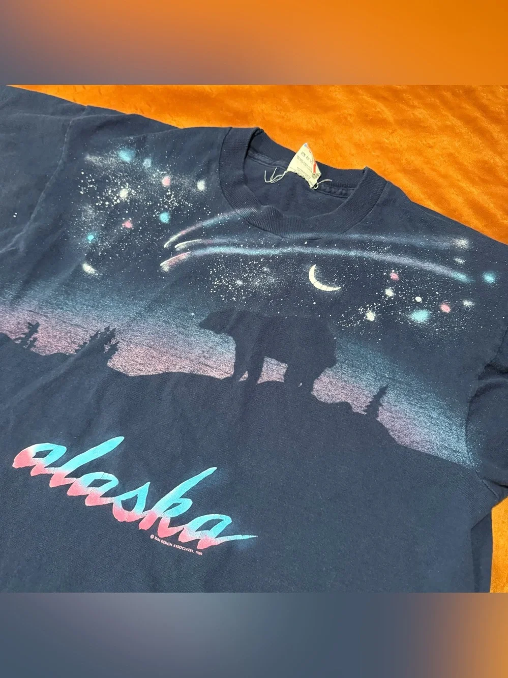 Vintage Alaskan Aurora Northern lights graphic print Crop top t- shirt USA